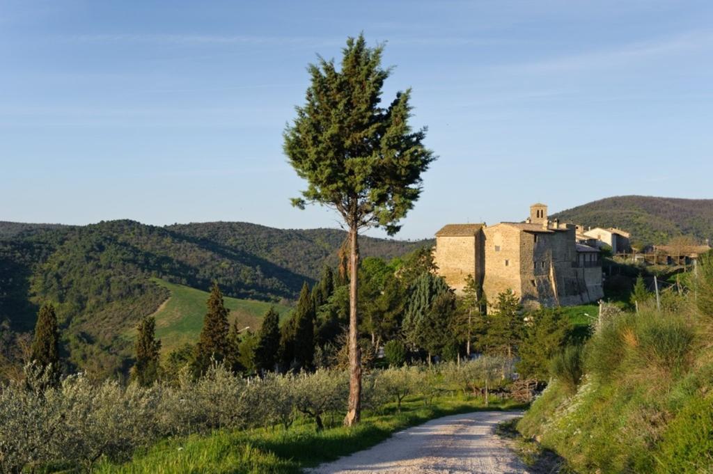 Umbria Nel Cuore Cannara Eksteriør billede